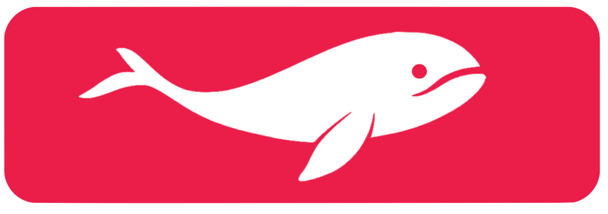 whale image